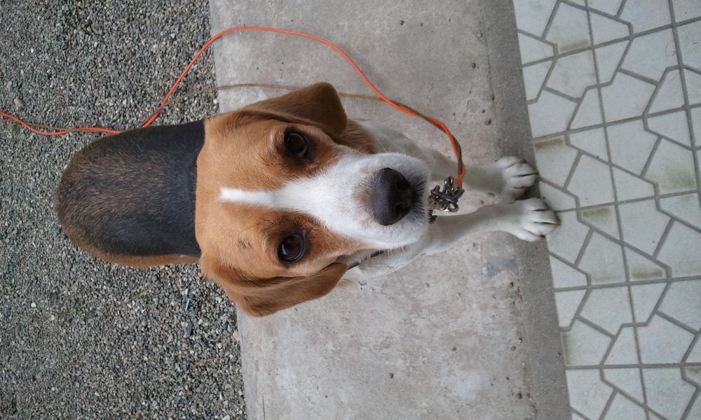 2011-11-13 11.22.47.jpg